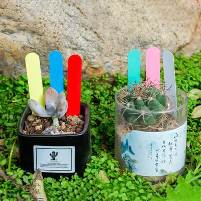 100Pcs/Bag Horticultural Ground Sign Easy To Write Waterproof with Hole Nursery Tray Round Head Succulent Plants