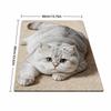 40×60CM Bathroom Carpet Realistic Bedroom Door Rug Cute 3D Cat Floor Mat  Home Decor