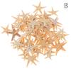 Sea Shells Size:0.5-3Cm 100Pcs Mini Starfish Craft Decoration Natural Sea Stars