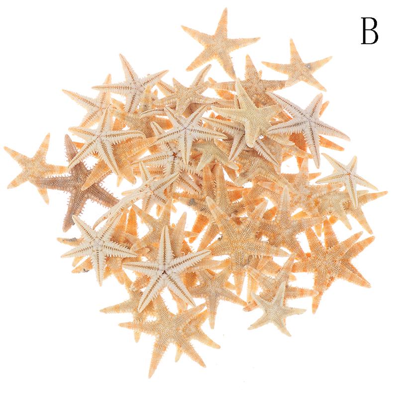 Sea Shells Size:0.5-3Cm 100Pcs Mini Starfish Craft Decoration Natural Sea Stars