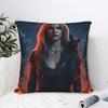 Singer B-Britneyy S-Pearss Pillow Case Funny Pillow Cover Comfy Pillowcases For Sofa Bedroom Home Decor
