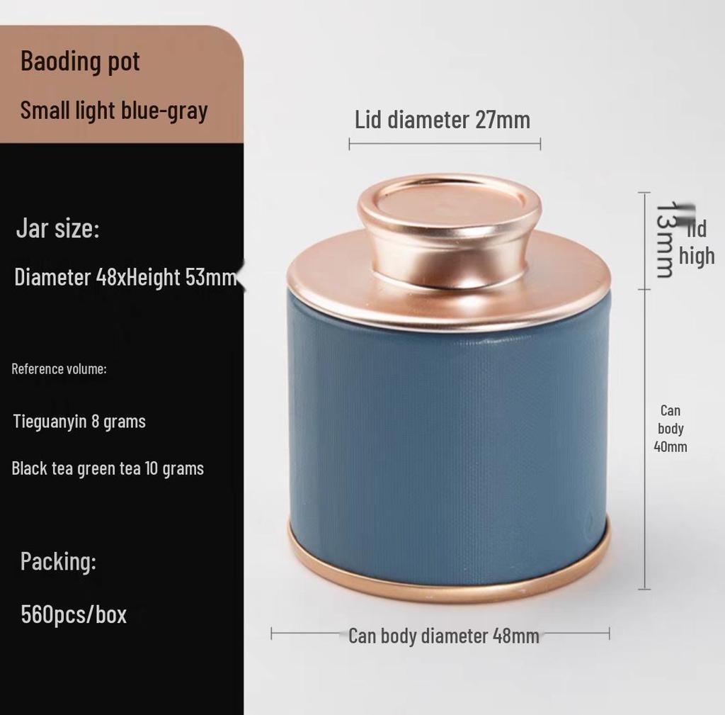 Compact Sealed Tea Canister for Single Brew - Portable and Reusable