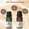 Ananta Nausea Essential Oil Combo – Peppermint & Ginger Aroma Oils (10 Ml × 2)
