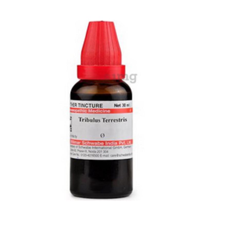 @ Dr Willmar Tribulus Terrestris Q Homeopathic 30ML g117 UKR187_60%OFF