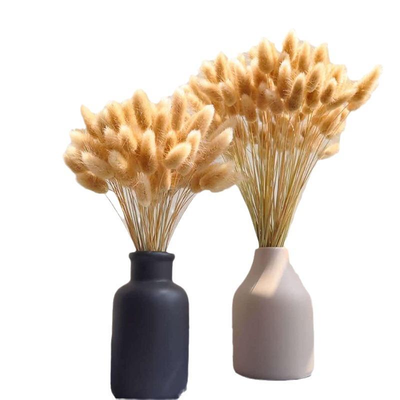 Rabbit Tail Grass Dried Flower Bouquet Home Decoration Flower Arrangement Dog Tail Grass Dried Flower Rabbit Tail Grass