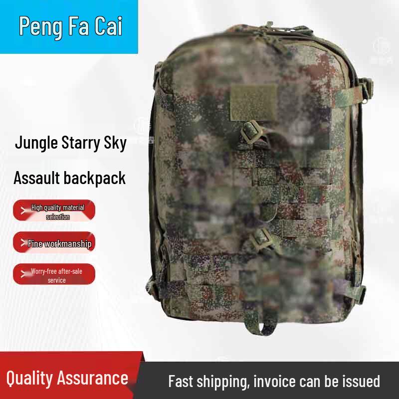Tactical Camouflage Assault Backpack