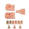 Silicone Piercing Practice Model Simulation Soft Flexible Nose Ears Model for Display Teaching