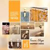 5Pcs Non-slip Windproof Hanging Clamps Stainless Steel Clothes Peg Laundry Clothespins  Beach Towel