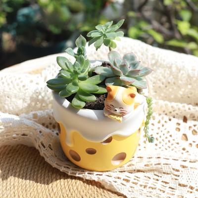 Niedlicher Topf für Sukkulentenpflanzen mit Dessertmotiv, kreativer Tier-Übertopf für Mini-Bonsai, Feengarten-Ornamente, Heim- und Tischdekoration