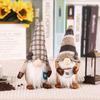 Rudolph Faceless Gnome Figurine - Christmas Coffee Counter Decoration