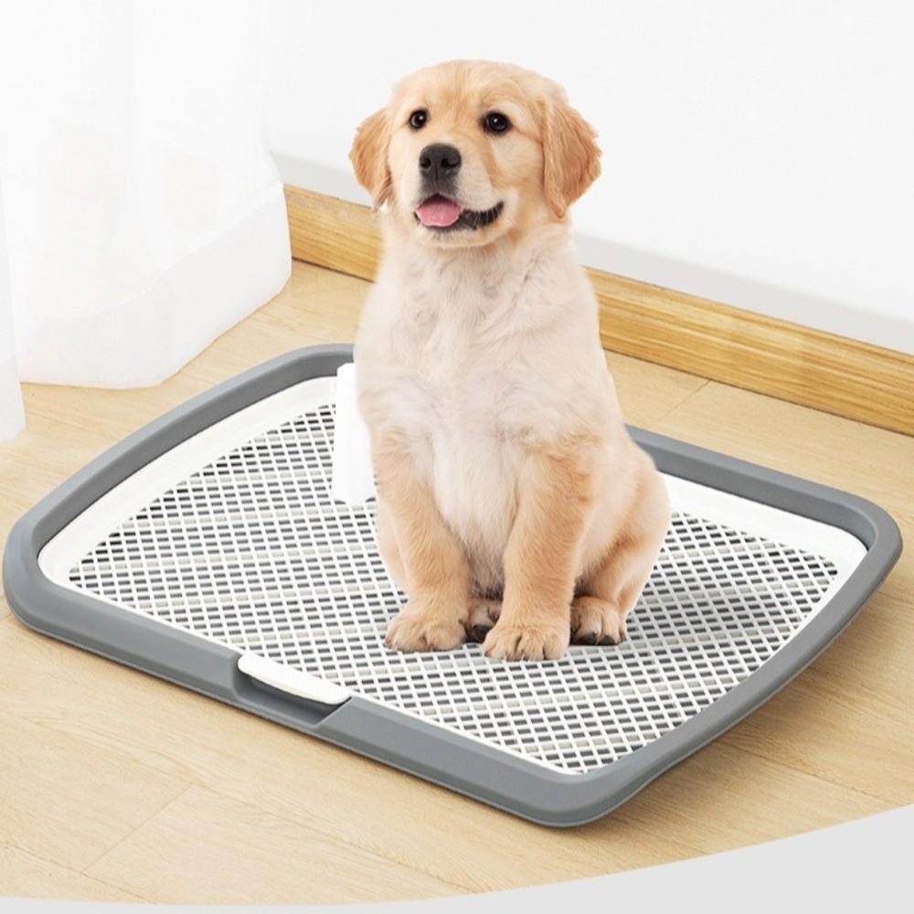 Removable Net Dog Training Toilet Mesh Dog Potty Trainer Dog Potty Toilet Training