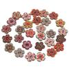100PCS Flat-back Clothing Button Bohemian Style Sewing Button Flower Wooden Buttons  Clothing Sewing