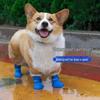 Soft Silicone Non-Slip Dog Rain Boots, Waterproof and Wear-Resistant, Jelly Color for Golden Retrievers