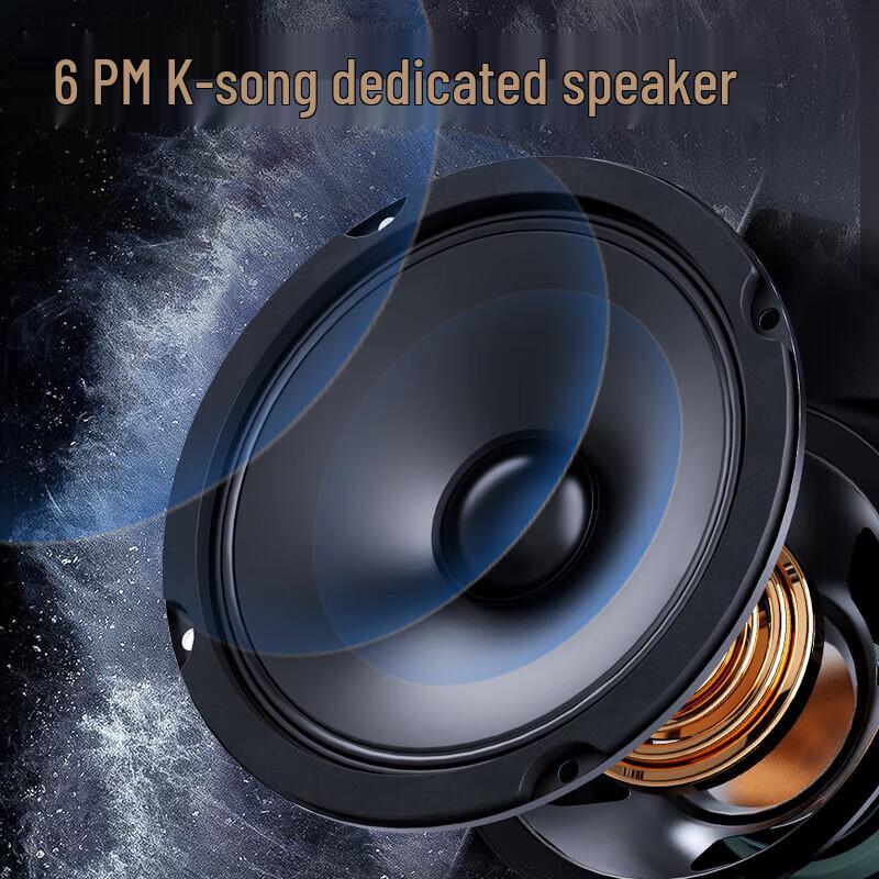 SANSUI PE182 Outdoor KTV Bluetooth Speaker System (CN version)