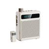 Bee Mini Wireless Speaker: Loud, Clear Sound, Noise Reduction, Long Battery Life—Perfect for Teachers & Tour Guides.
