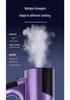 Portable Handheld Garment Steamer and Electric Iron