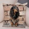Mini Dachshund Dog Cushion Cover Decor Pet Animal Pillow Cases Super Soft Plush Pillowcase for Sofa Home Children Room ,