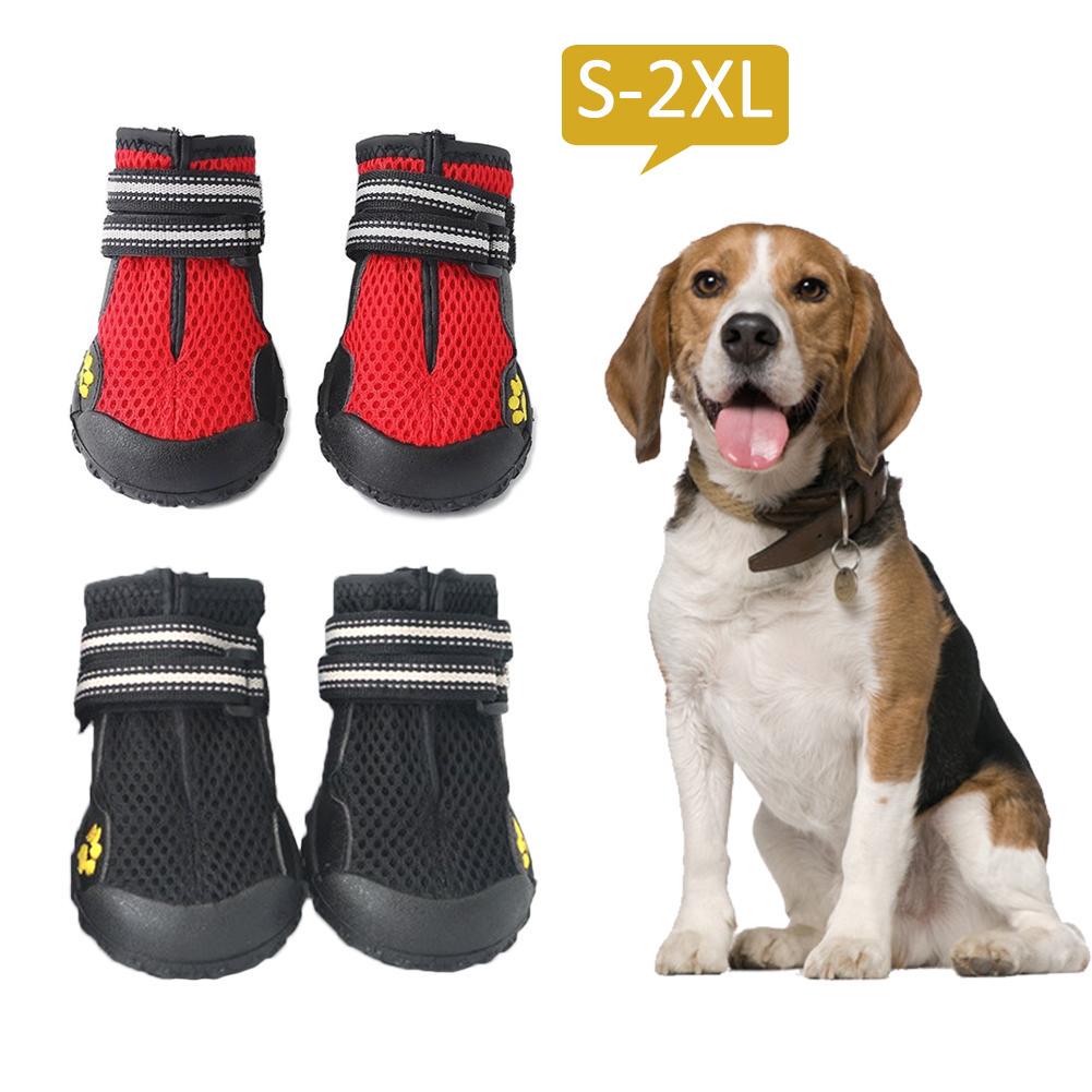 beagle rain boots