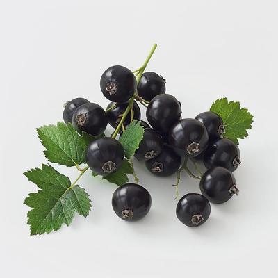 150 semi di ribes nero gigante Boskoop (Ribes negro)
