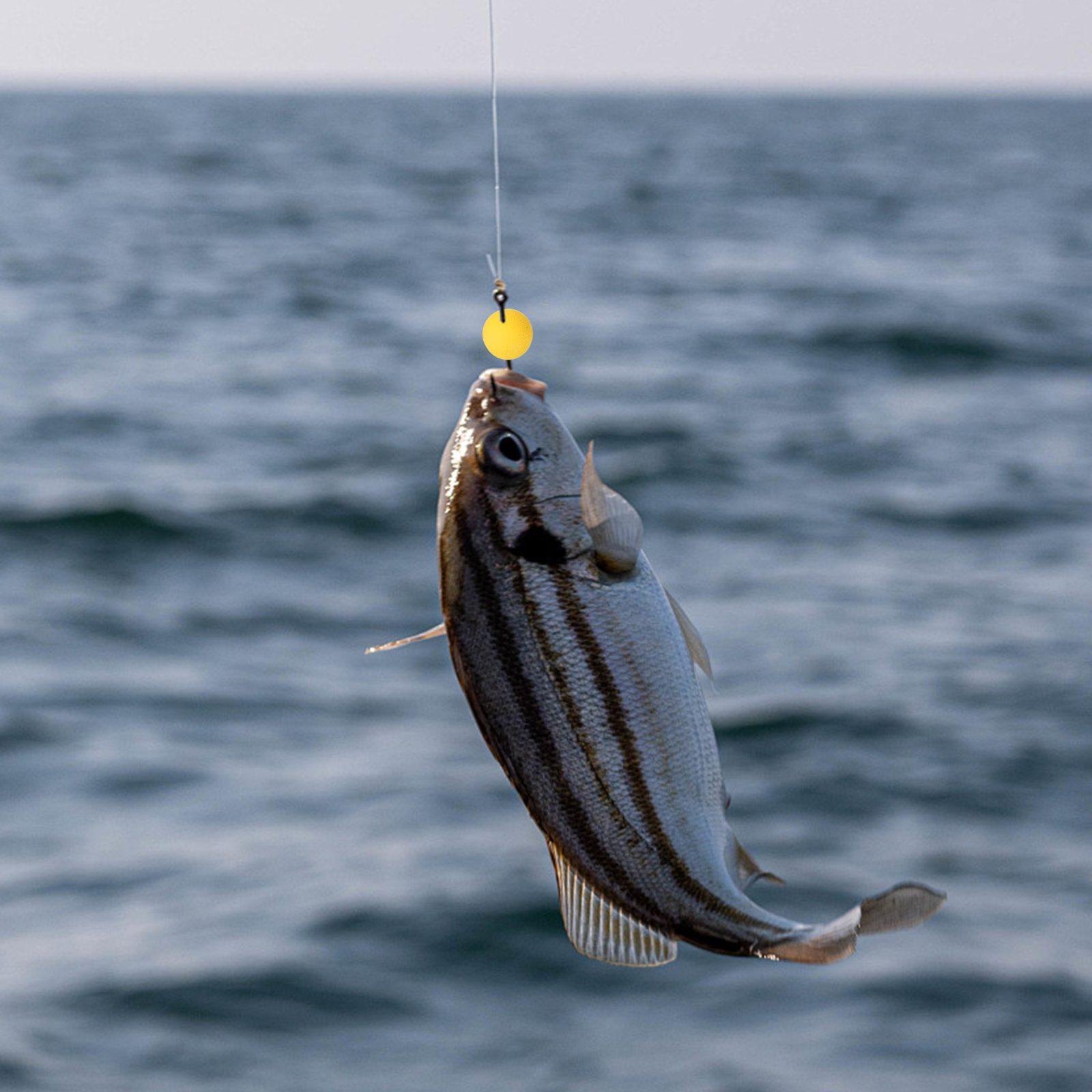 

Рыболовный крючок Насадка Бойлы 8/10/12/14/17 мм Аксессуары 17mm