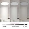 30W Intelligent RGB Dimming Ceiling Lamp 220 V Wi-fi+BT 2.4G Remote Controlling Built-in Microphone