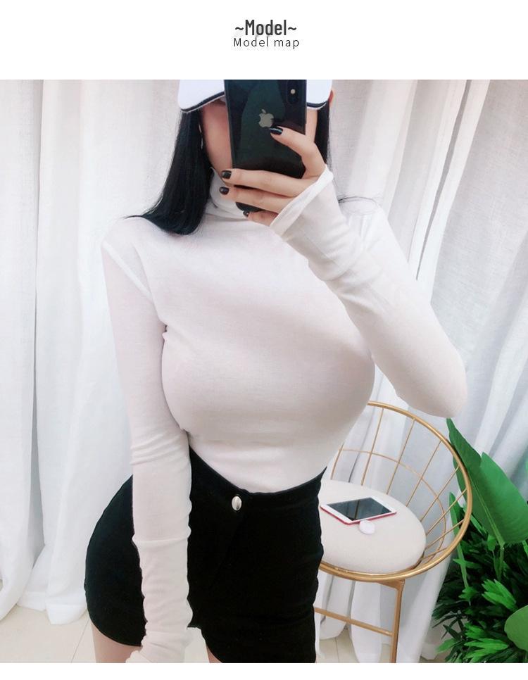 Women's Sheer High Neck Long Sleeve Korean T-shirt - Thin, Skin-friendly, Sexy Base Layer