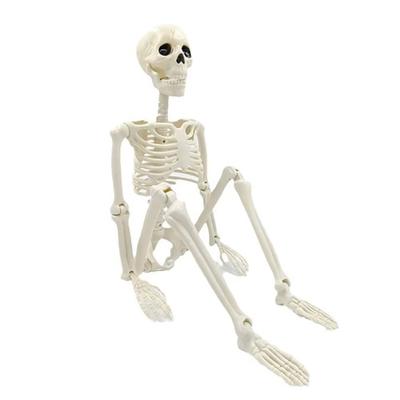 90cm High-Quality Skeleton Model Decoration Fake Sculpture for Home Garden Haunted House Decorative Horror Theme
