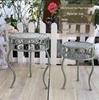 European Retro Iron Art Two-Piece Flower Stand & Pot Rack Set - Green, Distressed Finish, Ladder Design