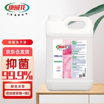 Kangweilong Pink Floral Liquid Hand Soap, 5kg Commercial