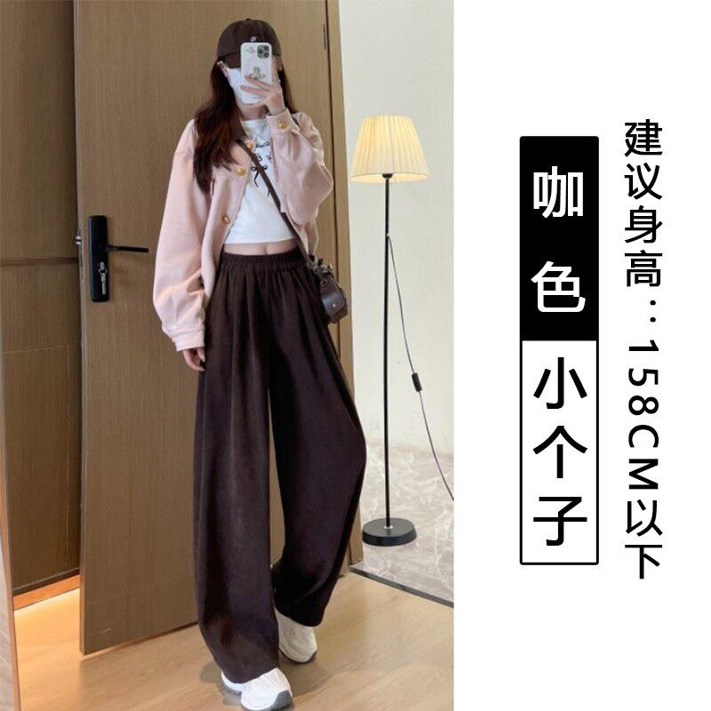 European cotton velvet wide-leg pants women's spring and autumn new lazy wind loose Yamamoto pants thin drape straight casual pants