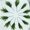 Realistic and Low-Maintenance Artificial Boston Fern Plants for Elegant Home