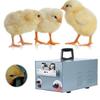 Máquina cortadora automática de picos de pollo Equipo de despico de alta temperatura