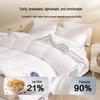 Heilan Home Antibacterial Soy Fiber Winter Quilt