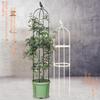 Black European Garden Plant Climbing Rack