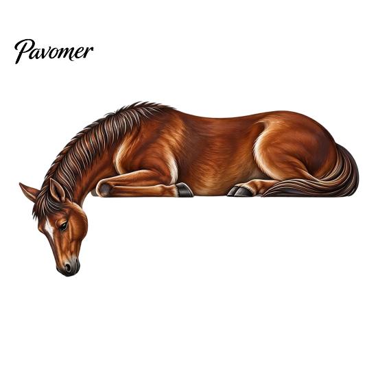 Collectible Dragon Figurine Sleeping Door Topper, Medieval Fantasy Wall Decor for Doorway, Rustic Home Accessories Corner Decor, No Drill