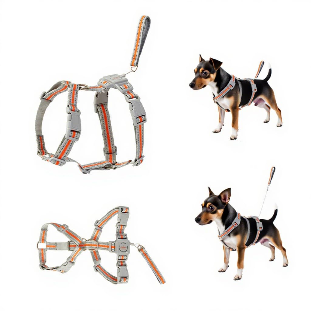 

Шлейка для собак для автоматической выдвижной прогулки для щенков, легко надевается и снимается, тянущая, ночная светоотражающая шлейка и поводок, интегрированный набор для всех сезонов L