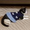 Korean Style Dog Princess Skirt Breathable Cat Bow Dress Comfort Pet Strap Dress  Pet Party