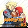 Naruto Vol. 53 by Masashi Kishimoto Paperback Book 9781421540498