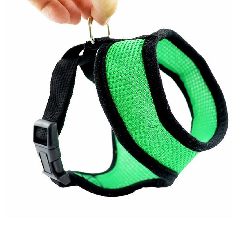 buy dog harness near me
