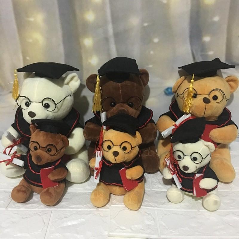 Dr Gift Graduation Teddy Bear Plush Toy Cartoon Stuffed Doll Decoration Gift