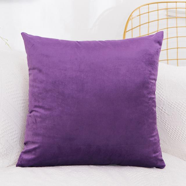 2-pack fluwelen kussenslopen effen microvezel kussenhoezen voor bank huisdecoratie meerdere maten beschikbaar 30X50cm paars