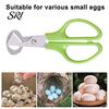Quail Egg Shell Opener Scissors with Non-Slip Handle Cutter Stainless Steel Blade Lightweight Kitchen Shears Easy Clean Tool for Precise Cutting