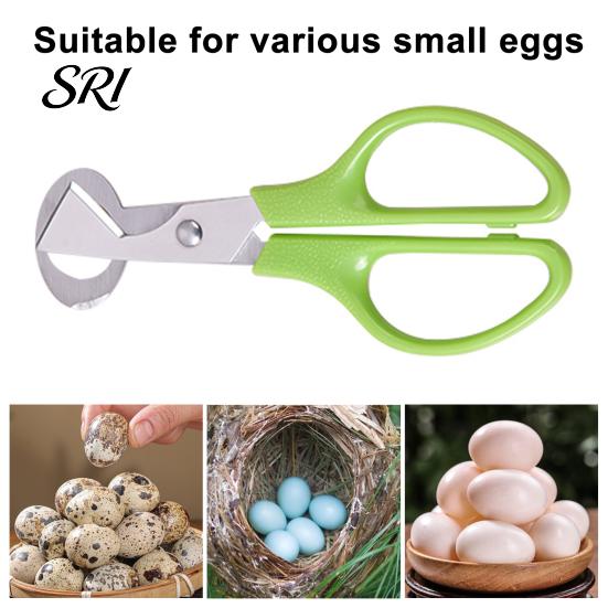 Quail Egg Shell Opener Scissors with Non-Slip Handle Cutter Stainless Steel Blade Lightweight Kitchen Shears Easy Clean Tool for Precise Cutting
