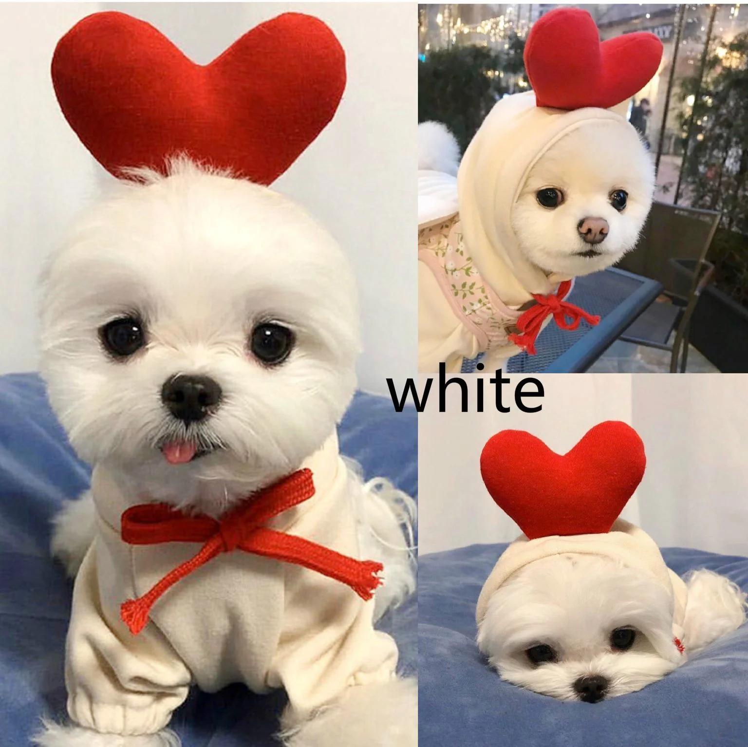 

Dog Sweater Thin Pet Clothes Kitten Dog Clothes Fruit Sweater Dogs Cats Fruits Pets Autumn and Winter Sweaters L