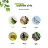 Small Villa Birdcage for Parrots, Budgies, Lovebirds, Sparrows & Finches