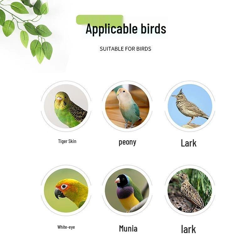 Small Villa Birdcage for Parrots, Budgies, Lovebirds, Sparrows & Finches