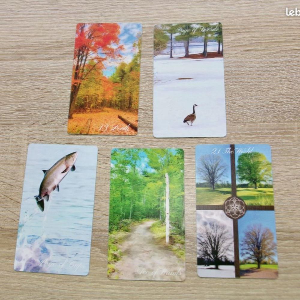 Medytacja w ruchu Tarot 10,3*6cm Łączy się z naturalnymi elementami każdego sezonu 78 sztuk kart tarota opartych na RWS