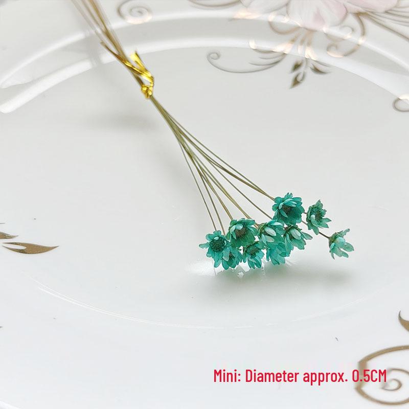 Blue Series Dried Flower DIY Kit: Hydrangea, Thousand-Layer Gold, Eucalyptus Leaf Souvenir Decoration