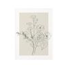 Boho Botanical Flower Line Beige Posters Wall Art Canvas Painting Minimal Floral Print Pictures Neutral Living Room Home Decor