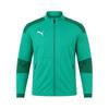 Puma Boys Final Slim Training Jacket